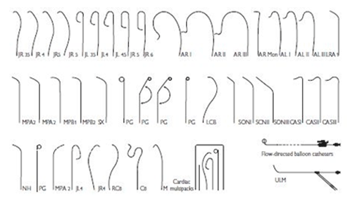 Guiding-Catheter